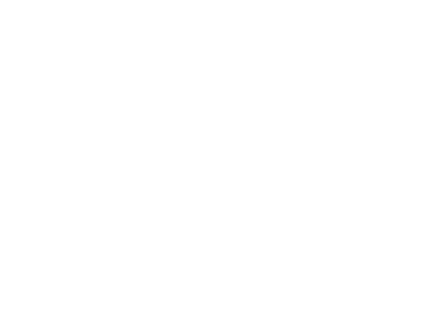 Ant on troubled pine